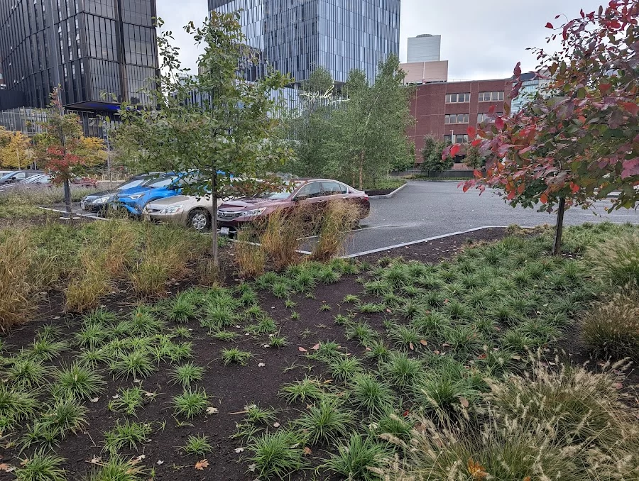 MIT Health Picture 9