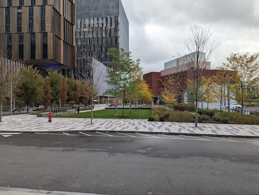 MIT Health Picture 6