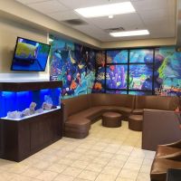 Smile Reef Pediatric Dentistry ico