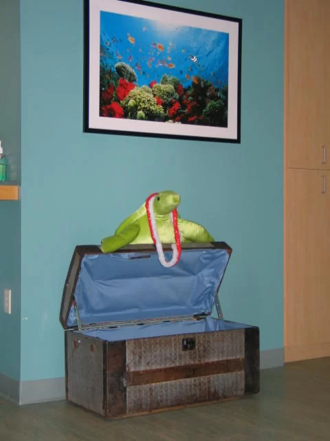 Raleigh Pediatric Dentistry Picture 2