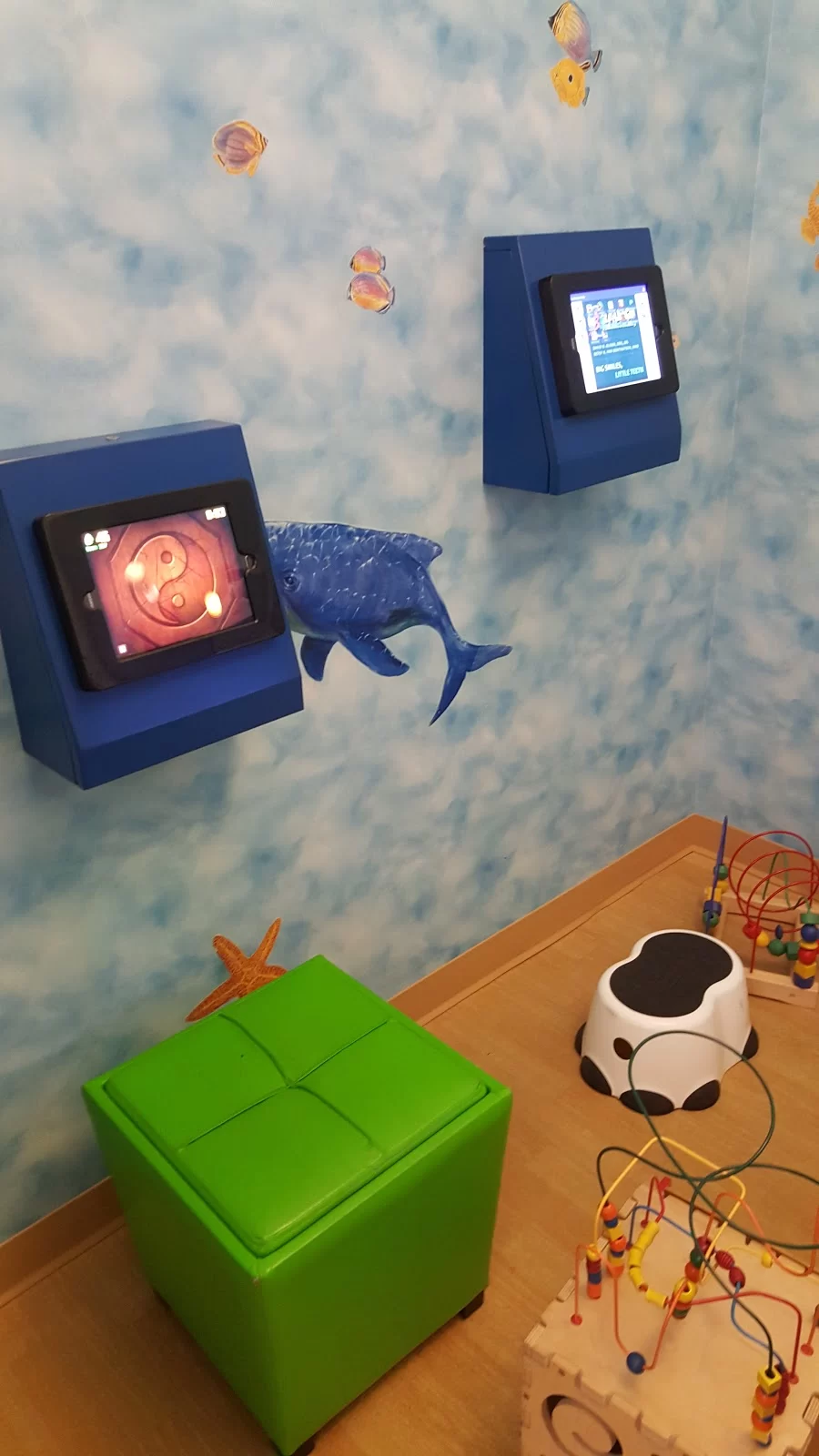 Raleigh Pediatric Dentistry Picture 7