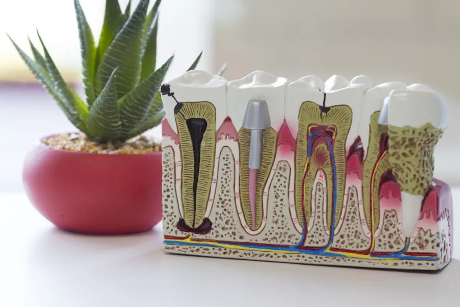 Hernandez Dental Care Picture 5