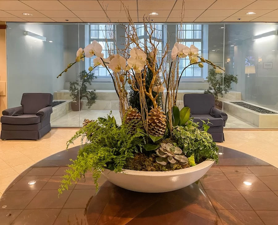 Boston Center for Oral Health Picture 7