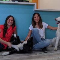 Mighty Smiles Dentistry: Dr. Vanna Truong ico