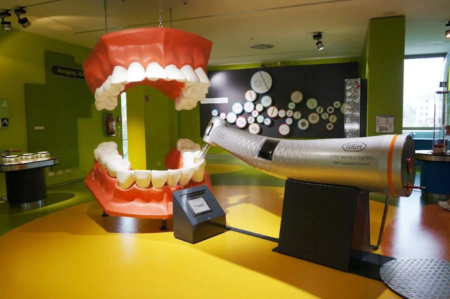 Emergency Dental Picture 7