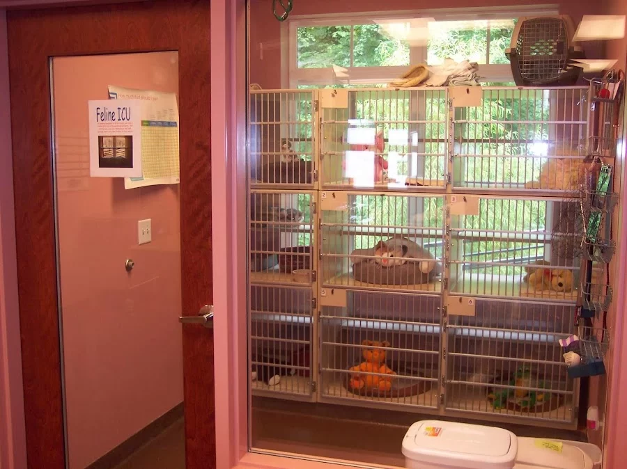 Animal Hospital at Brier Creek Picture 2