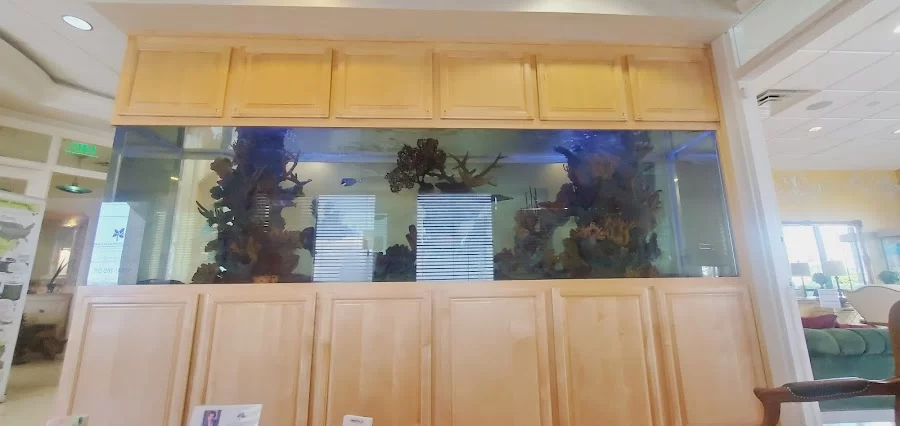Four Seasons Dental Spa Picture 1