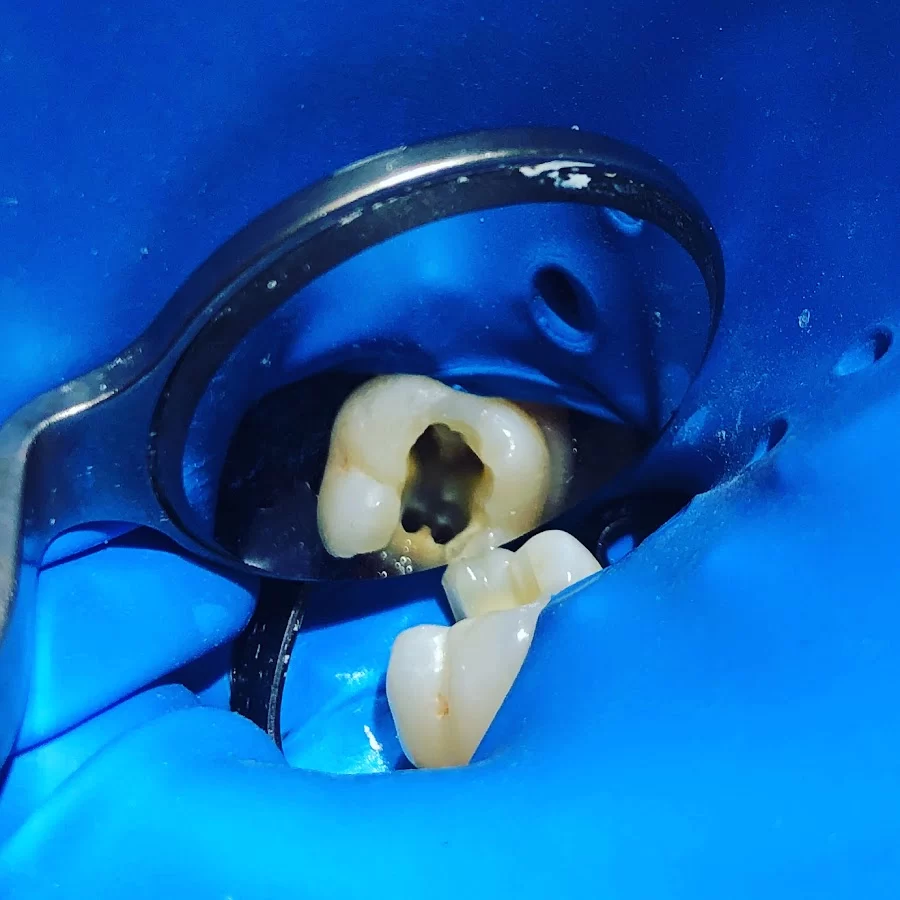 Smile Shop Dental and Facial Aesthetics Picture 5