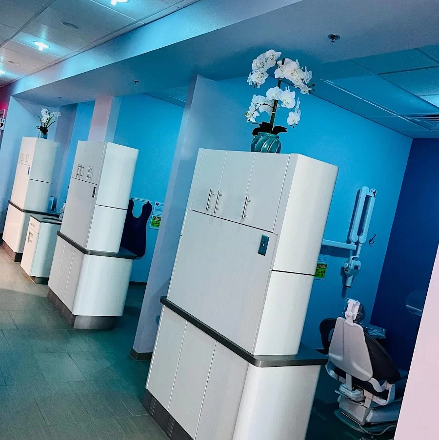 Smile Shop Dental and Facial Aesthetics Picture 7