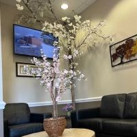 Brier Creek Smiles Dentistry ico
