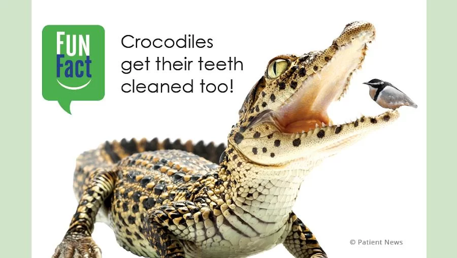 Aesthetic Family Dentistry Picture 7