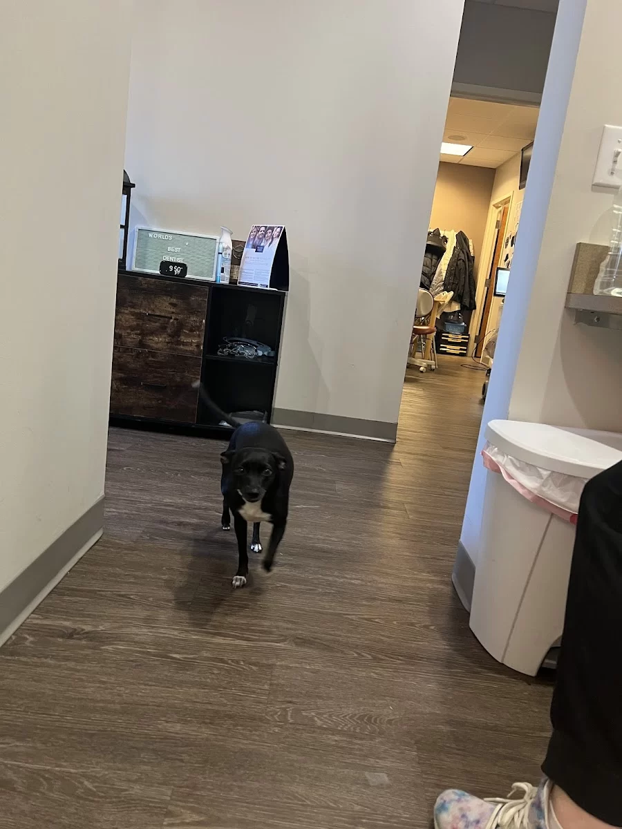Park Avenue Dental Associates Picture 6