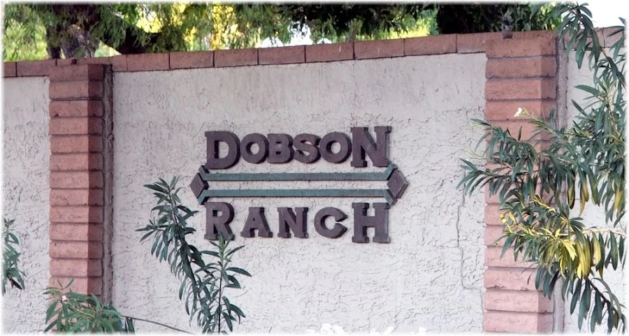 East Valley Dental Professionals Picture 4