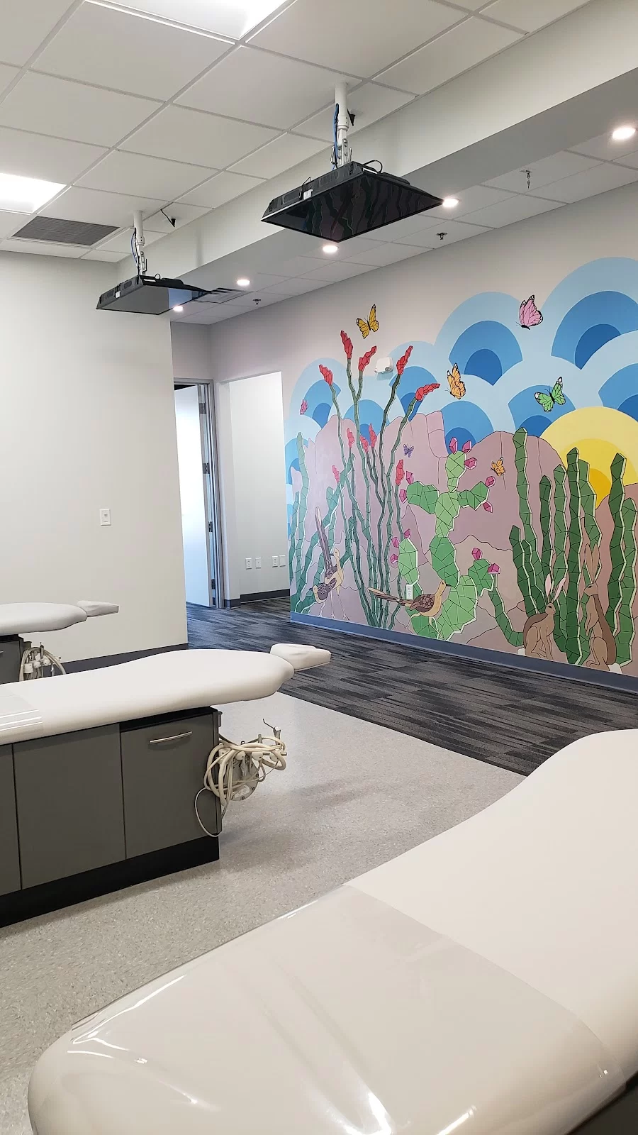 Bluebird Pediatric Dentistry Picture 6