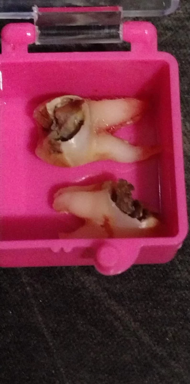 Duff Family Dental Picture 4