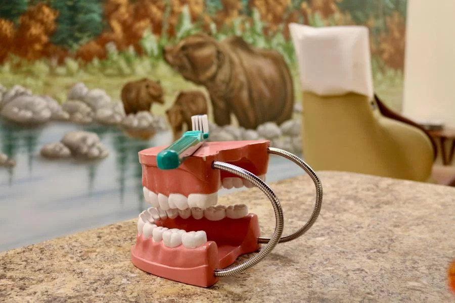 Timber Falls Pediatric Dentistry Picture 6