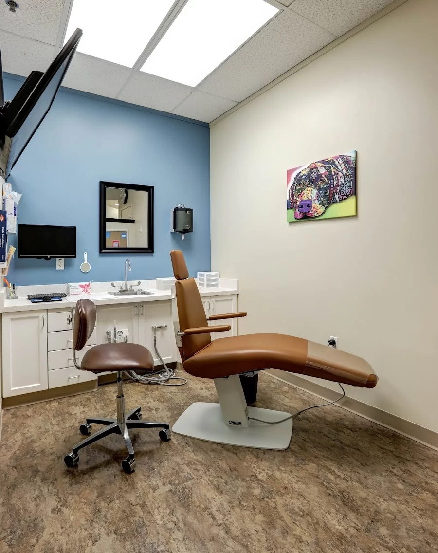 Glovsky Orthodontics Picture 7