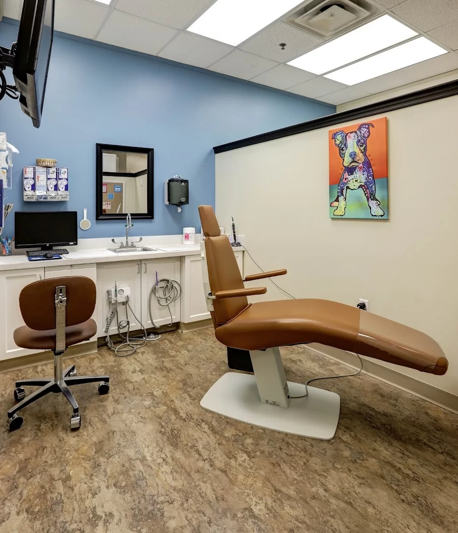Glovsky Orthodontics Picture 6
