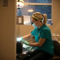 Today's Dental - Millard ico