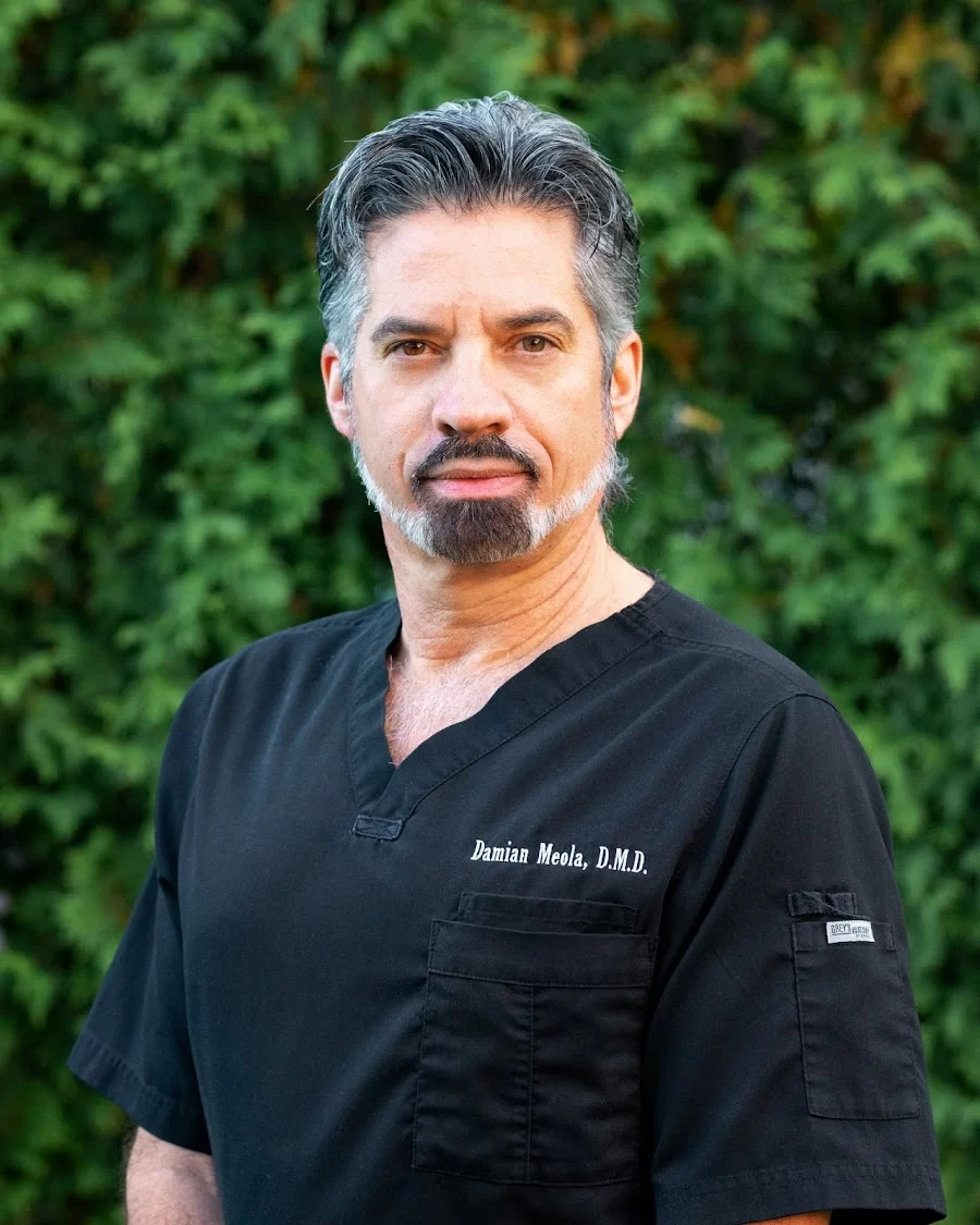 Meola Dental Group - Needham Picture 5