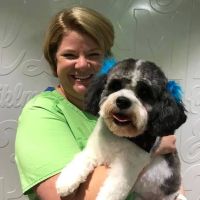 Charleston Pediatric Dentistry, Ashley Patnoe DDS, PLLC ico