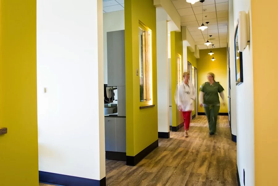 Artisan Dental, LLC Picture 1