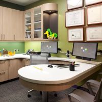 OPDSF Pediatric Dentistry ico