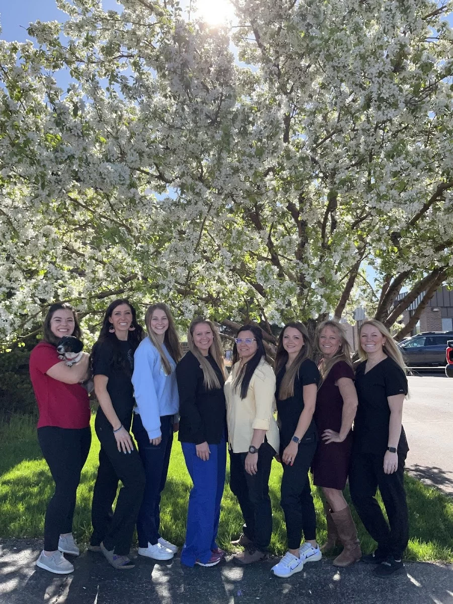 Summit View Dentistry PC Picture 2