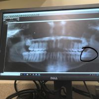 Clevemorse Family Dentistry ico