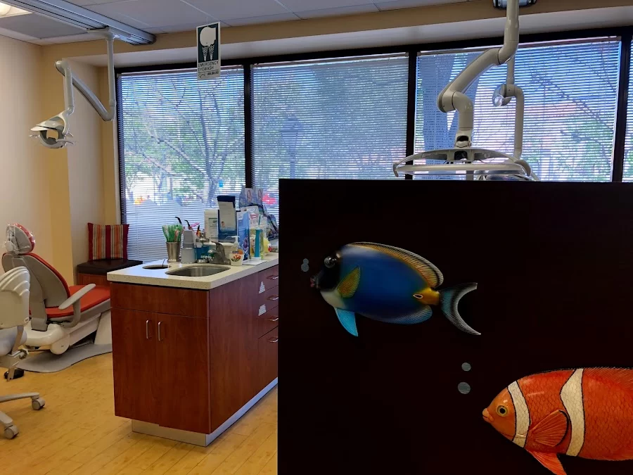 Rumack and Harmer Pediatric Dentistry Picture 4