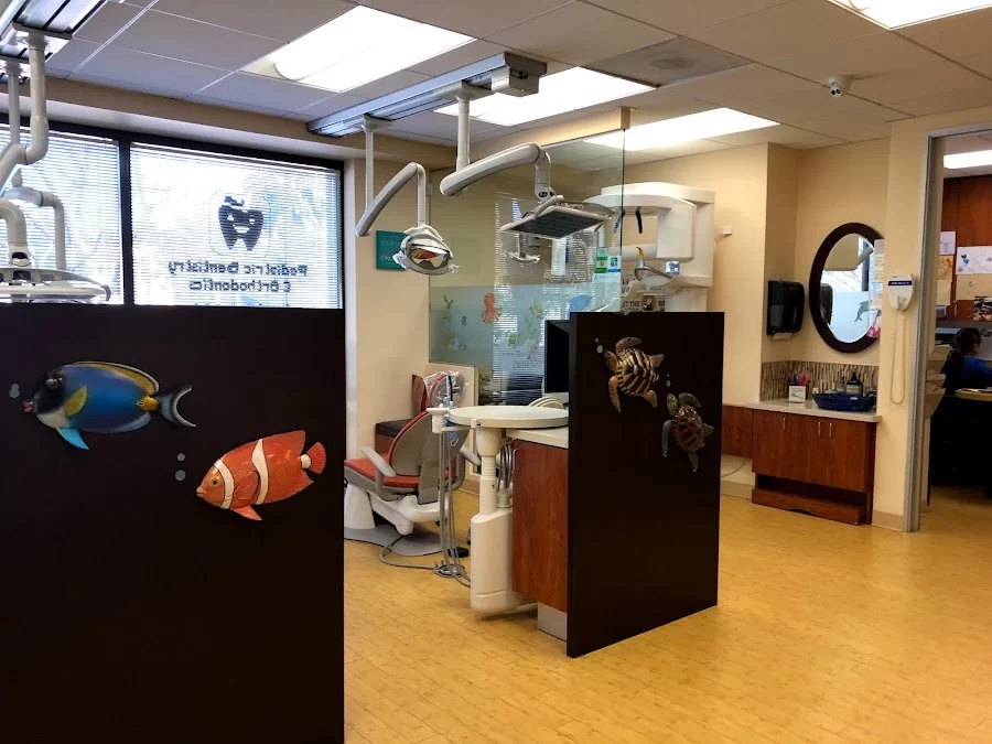 Rumack and Harmer Pediatric Dentistry Picture 1
