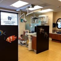 Rumack and Harmer Pediatric Dentistry ico