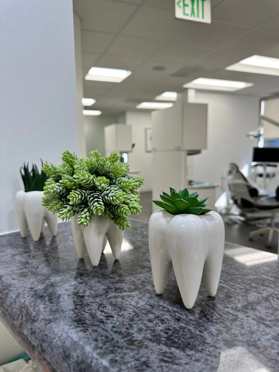 Dr. Rad Dental Picture 4