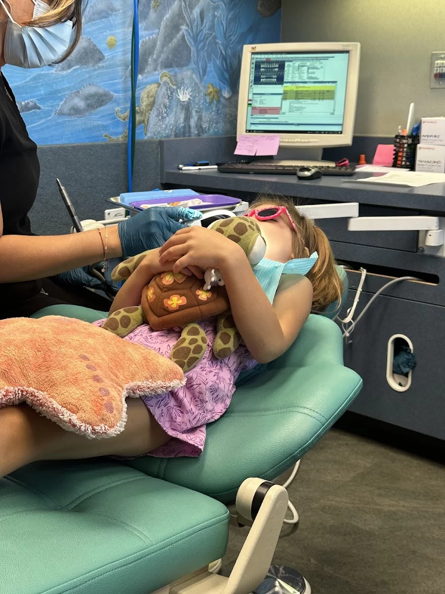 Ocean Adventure Dentist Picture 6