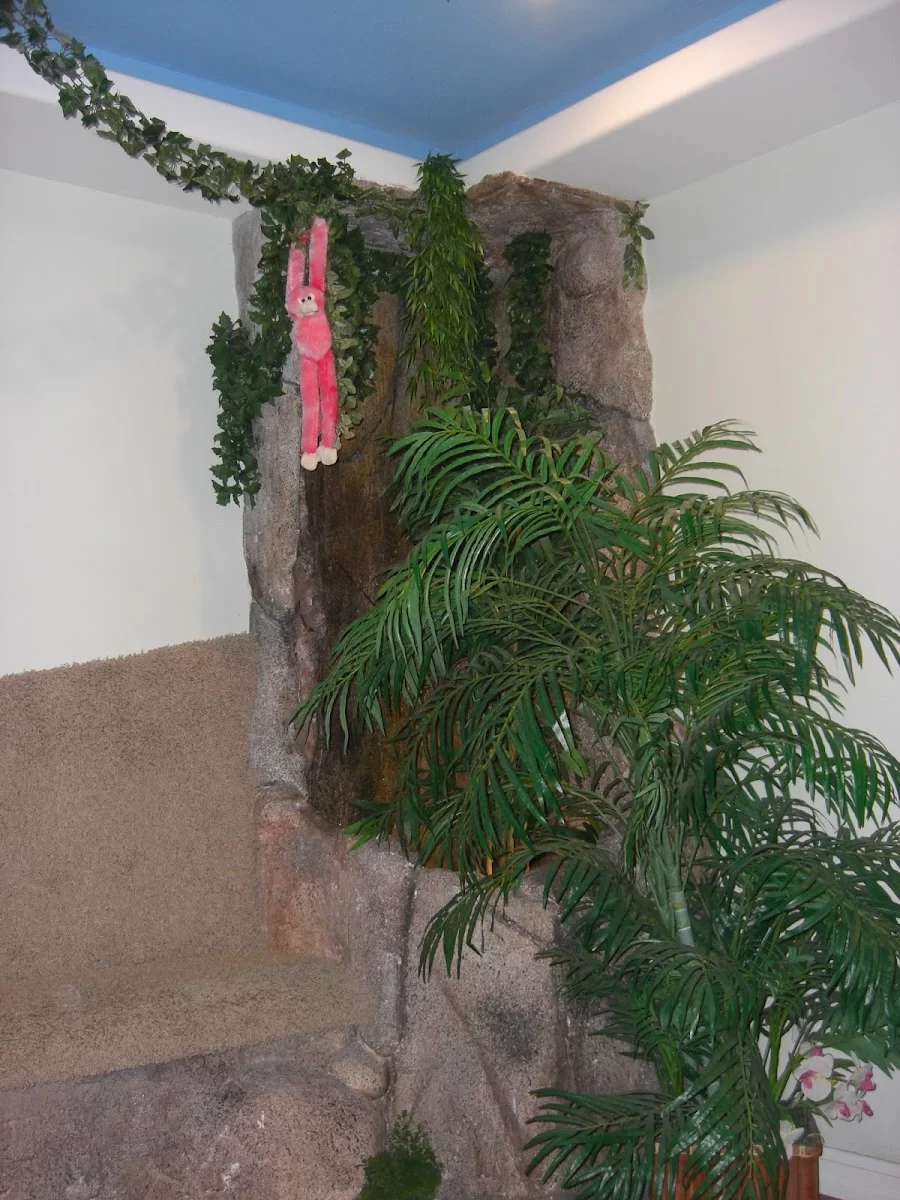 Arcadia Pediatric Dental Practice & Orthodontics Picture 8