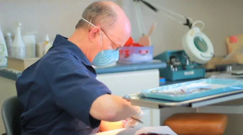 East Lyme Orthodontics, INC Picture 1