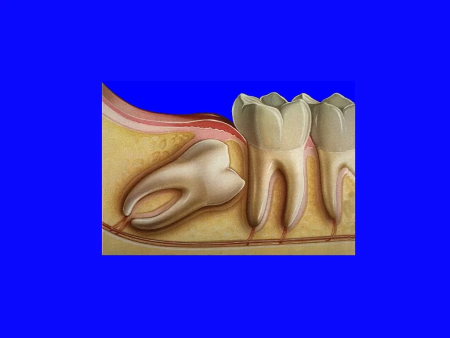 Ruiz, Adrian, DDS -Radiant Smiles Picture 3