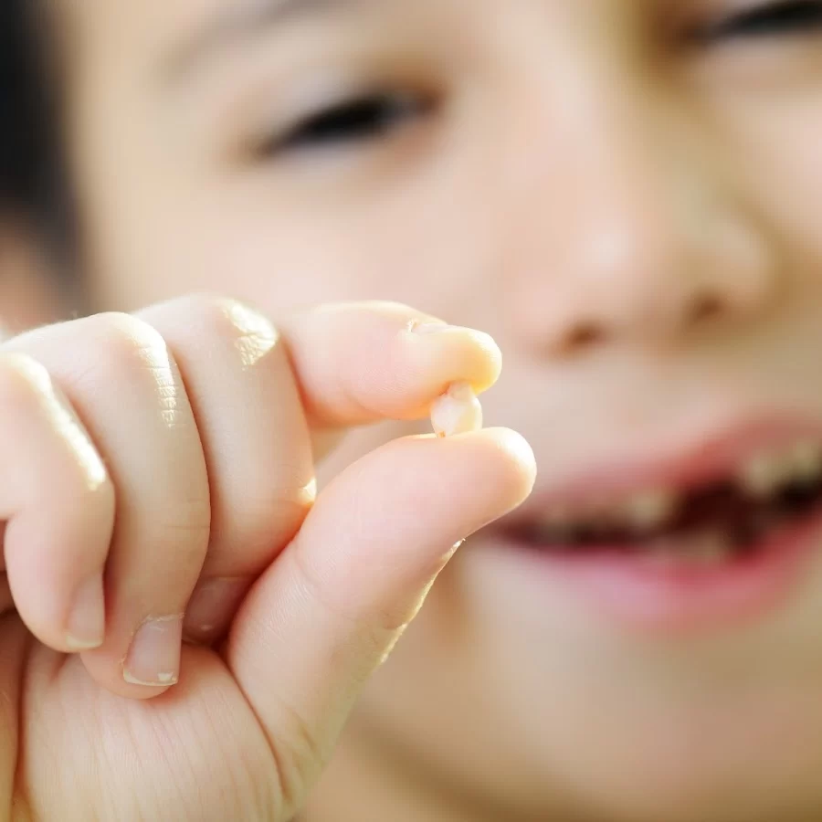 Boca Dental and Braces Picture 2