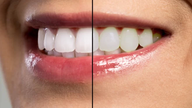 Zen Dental Picture 3