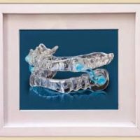 Dr. David Youssefi DMD, Rapid Smile Dental Group ico