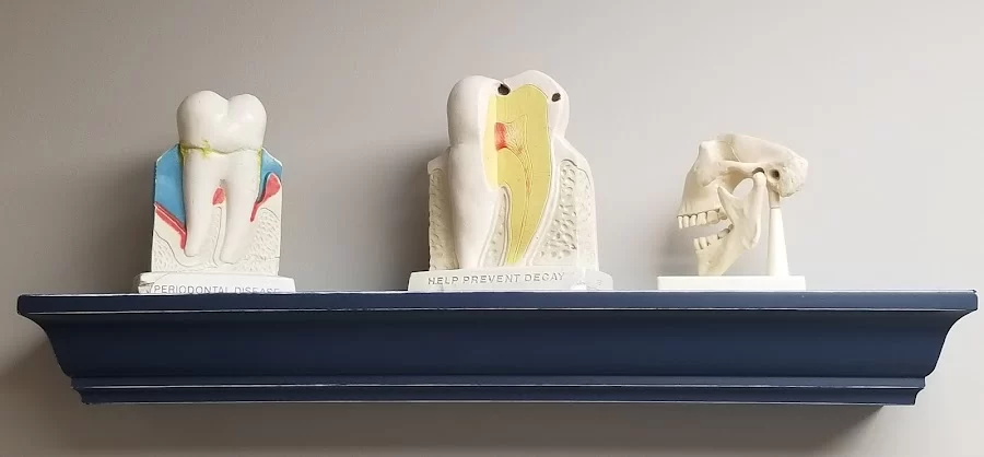 Central Jersey Dental Arts Picture 1