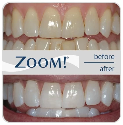 Dina Pascasio DMD: Oak Tree Dental, LLC Picture 1