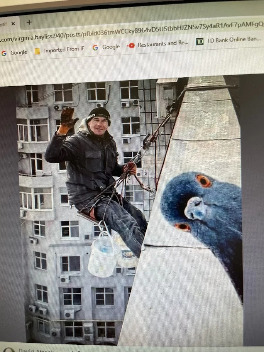 Tabori Steven DMD LLC Picture 1