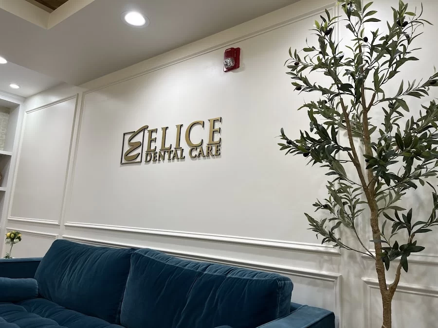 Elice Dental Care Picture 5