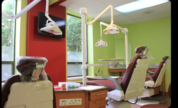 Dr Sezer Olcay , Holmdel Orthodontics Picture 4