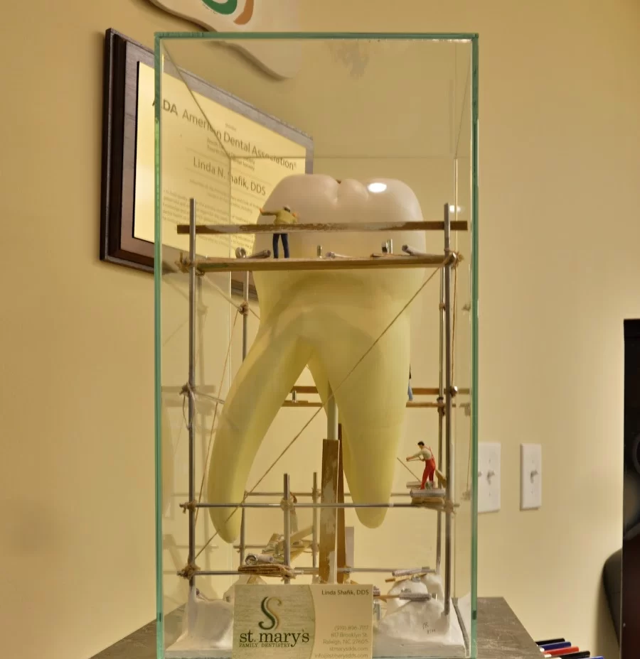 St. Mary's Family Dentistry Picture 4