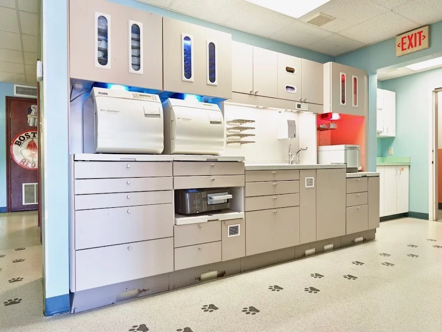 Dr. Mickey’s Pediatric & Orthodontic Specialists Picture 6