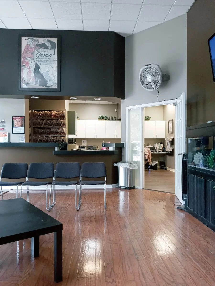 Alliance Orthodontics Picture 5