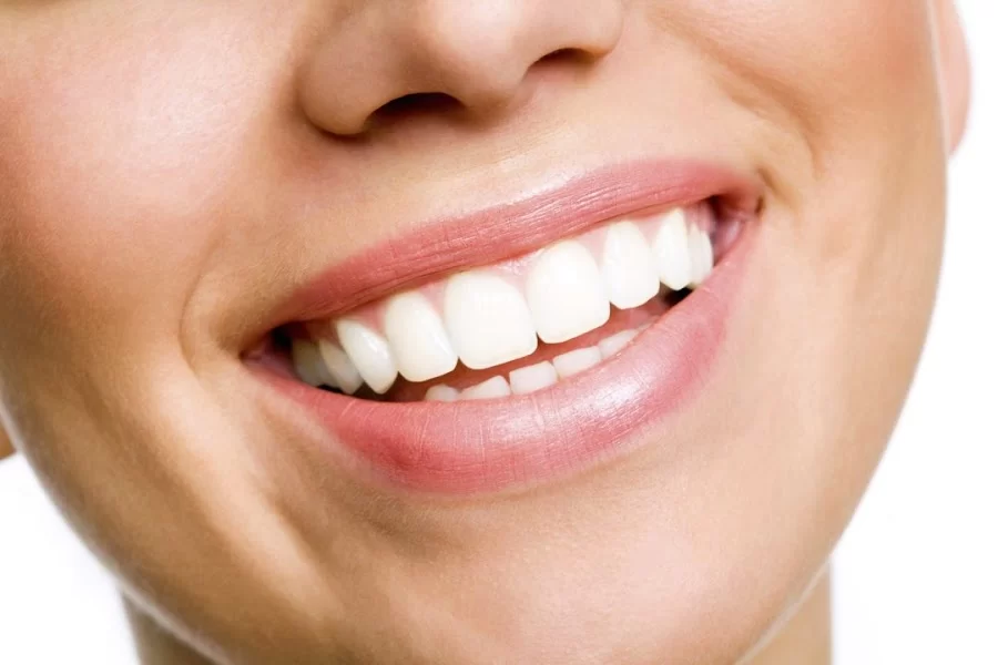 Paroo Dental Picture 5