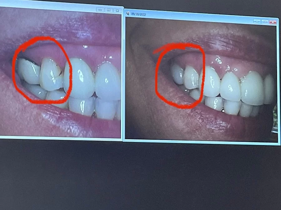 Chestnut Dental Inc Picture 3